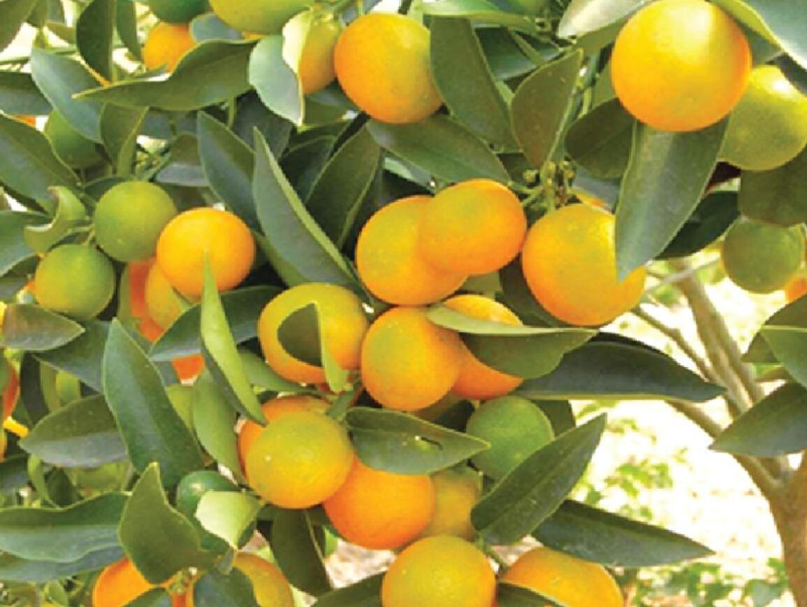 山东草莓小视频禁止18岁塑胶有限公司